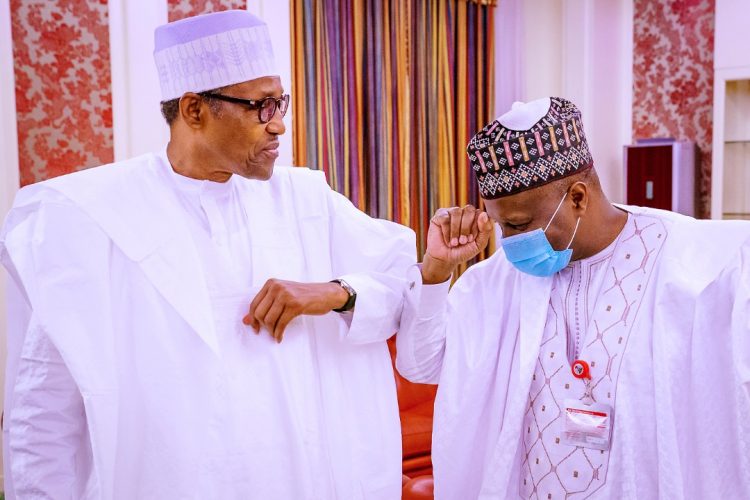 Revisiting Governor Inuwa Yahaya’s engagement with Mr President and his audacious, articulate presentation of issues affecting Gombe