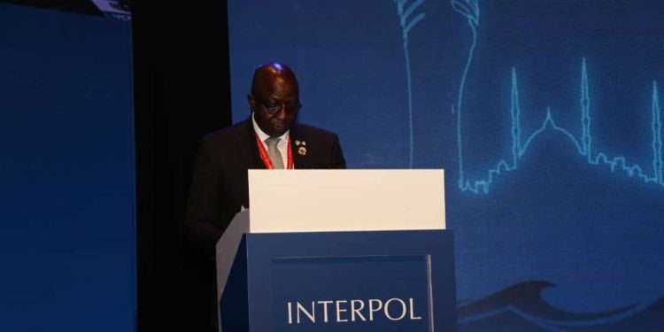 AIG Garba Baba Umar Interpol Vice President Africa