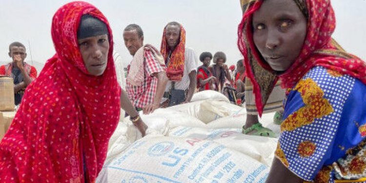 Severe cash crunch threatens World Food Programme operations in Ethiopia