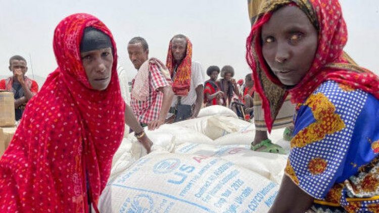 Severe cash crunch threatens World Food Programme operations in Ethiopia