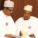 APC primary most competitive, peaceful in Nigeria’s democracy – Buhari