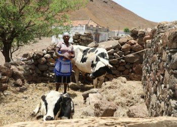Cabo Verde faces spike in food insecurity over drought, Covid-19, Ukraine crisis