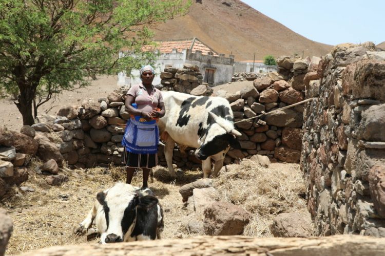 Cabo Verde faces spike in food insecurity over drought, Covid-19, Ukraine crisis