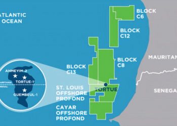 Cost optimization will be necessary for Senegal and Mauritania Gas Projects