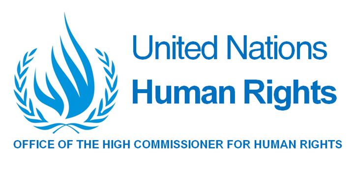 UN expert to assess human rights in Central African Republic