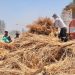 U.S. Government pledges $50 million to support Egypt’s food security