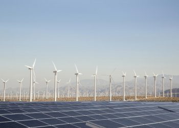 Africa’s wind energy industry expected to diversify as interest to harness the continent’s wind grows