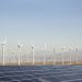 Africa’s wind energy industry expected to diversify as interest to harness the continent’s wind grows
