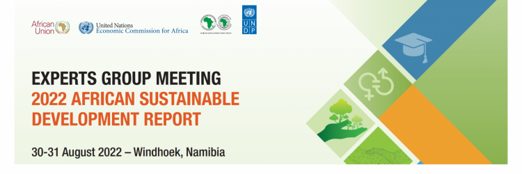 Expert Group assesses Africa’s progress in meeting Sustainable Development Goals and Agenda 2063