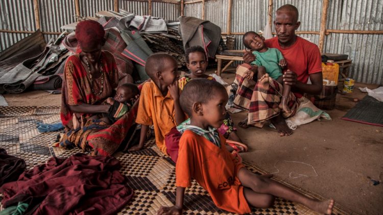 Without immediate funding, 750,000 refugees will have ‘nothing to eat’ in Ethiopia – UN agencies