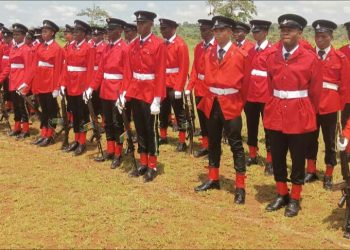 We’ve not commenced constable recruitment – Nigerian police