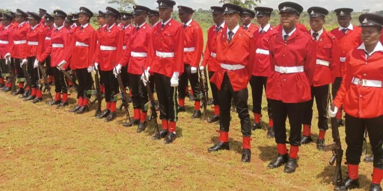 We’ve not commenced constable recruitment – Nigerian police