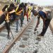 Nigeria’s economy: four priorities the next president must deliver on