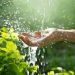How safe is it to drink rainwater?