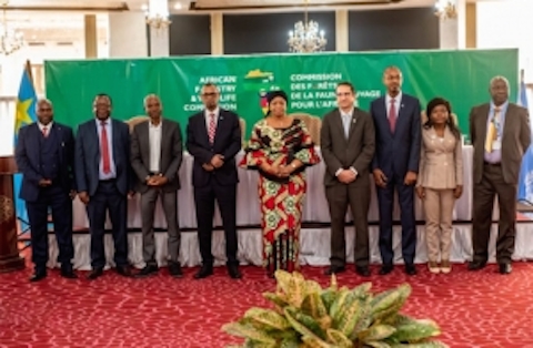 Future of sustainable forestry, wildlife in the spotlight at Africa regional meeting