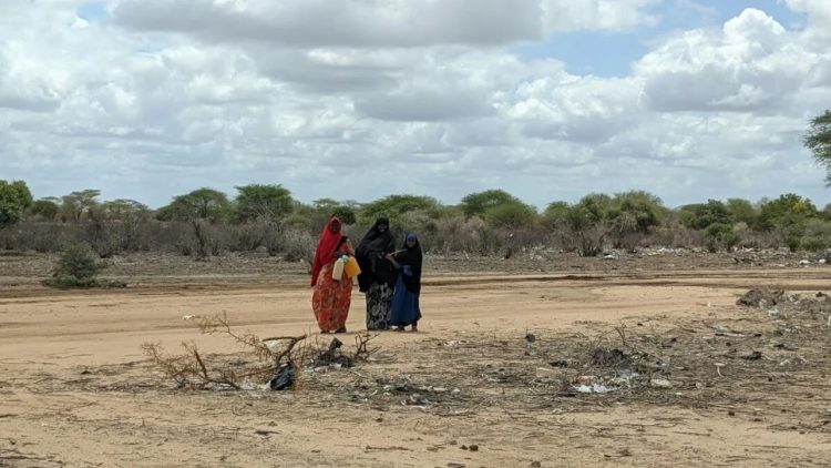 1 million people displaced by drought in Somalia