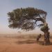 Wildfire, floods don’t need to turn into disasters – UN Report
