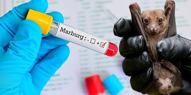Ghana declares end of Marburg virus outbreak