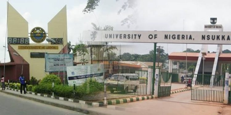 Nigeria’s universities can find funds and produce job creators: here’s how