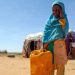 African response to climate crisis doesn’t match ‘magnitude of the challenge’ – UN official