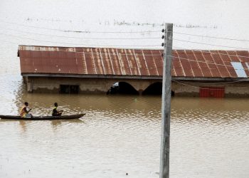 Floods in Nigeria: building dams and planting trees among steps that should be taken to curb the damage