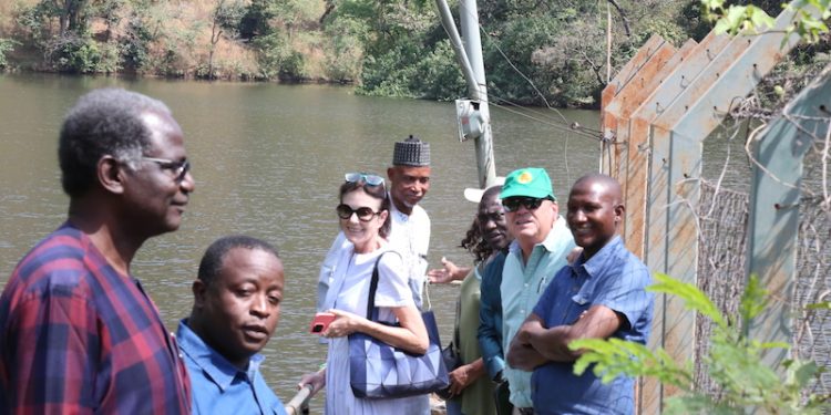 Buhari approves remodeling, upgrading of presidential villa wildlife sanctuary