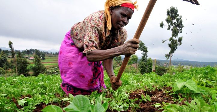 United States invests $12 million in Tanzanian youth agribusiness