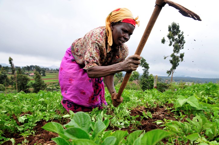 United States invests $12 million in Tanzanian youth agribusiness