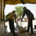 World Food Programme resumes operations in Sudan amid humanitarian ‘catastrophe’