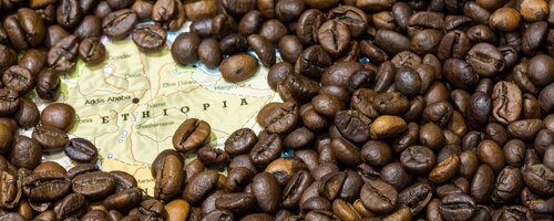 World’s leading coffee guide launches Amharic edition in Ethiopia