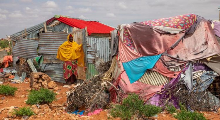 United Nations, partners seek $7 billion to prevent catastrophe in the Horn of Africa