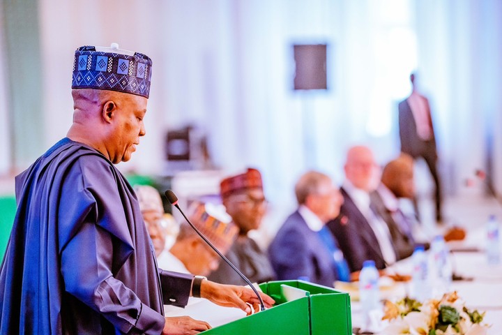 We’ll address concerns on financing primary healthcare system financing – Shettima