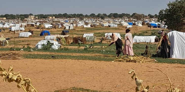 World Food Programme races to support surge of Darfur refugees arriving in Chad