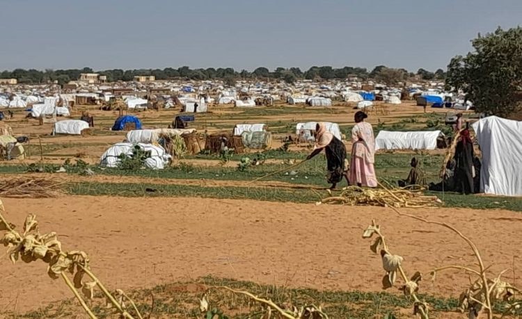 World Food Programme races to support surge of Darfur refugees arriving in Chad