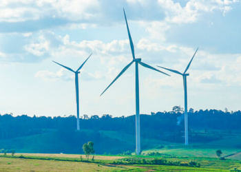 Harnessing wind power for sustainable grid expansion