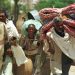 UN experts urge Ethiopia to halt mass deportation of Eritreans