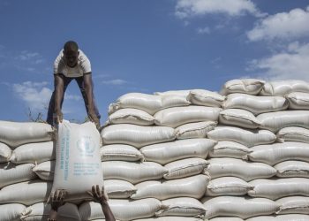 Nigeria’s food insecurity: declaring a state of emergency isn’t a real solution – here’s what is