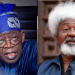 At 89, Soyinka remains source of inspiration – Tinubu