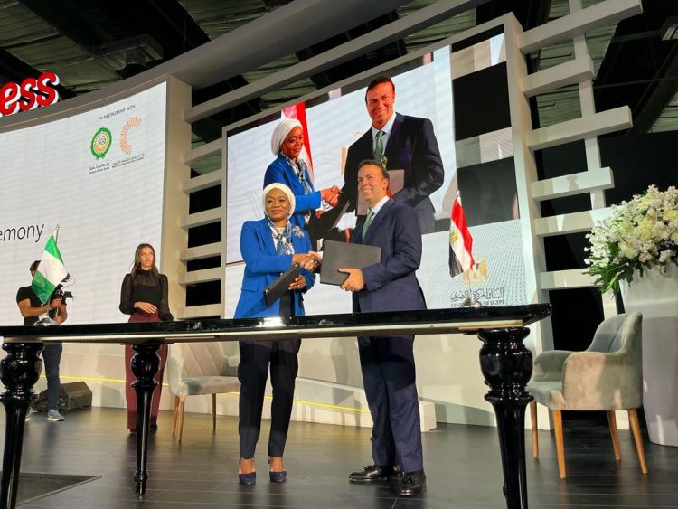 CBN, CBE set up ‘Nigeria-Egypt FinTech Bridge’