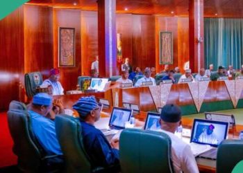 FEC has taken steps to address economic, agricultural challenges – Finance Minister