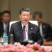 Xi says BRICS important force in shaping international landscape