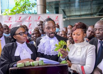 Criminalise use of cannabis, khat, medics tell Ugandan lawmakers