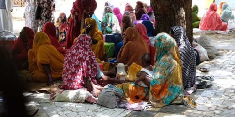 FAO raises alarm over escalating food crisis in Sudan
