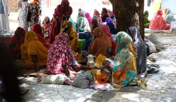 FAO raises alarm over escalating food crisis in Sudan  