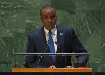 At United Nations, Horn of Africa nations urge global solidarity, real reform