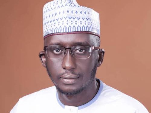 Tinubu appoints Muhammed Abu Ibrahim as National Agricultural Development Fund scribe