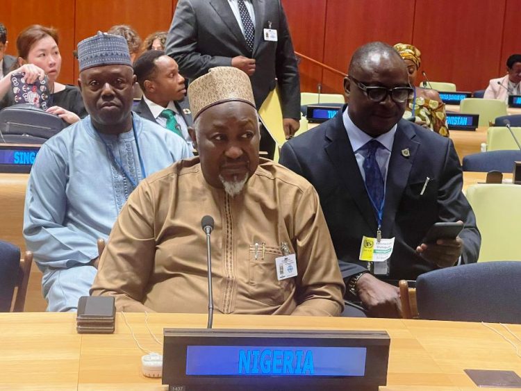 Nigeria demands UN Security Council seat at the 79th UNGA