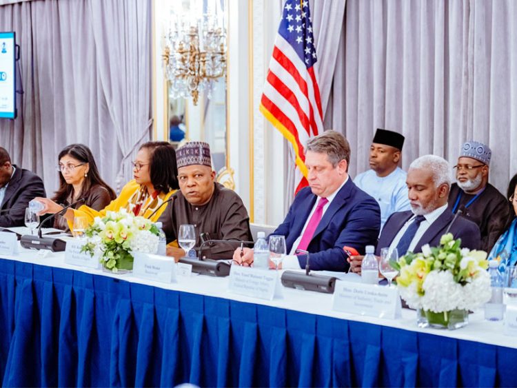 79th UNGA: US Chamber of Commerce commits $320m to mortgage financing, SMEs, others in Nigeria