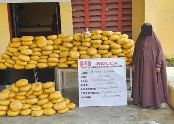 NDLEA intercepts N16.1bn opioids, arrests octogenarian, community leader’s wives, son