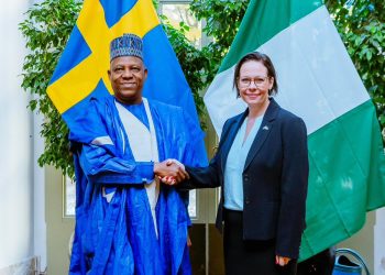 Shettima holds bilateral talks with Deputy Prime Minister of Sweden